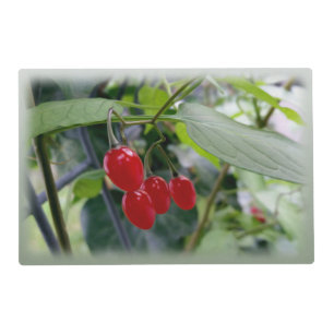 Autumn red spots placemat