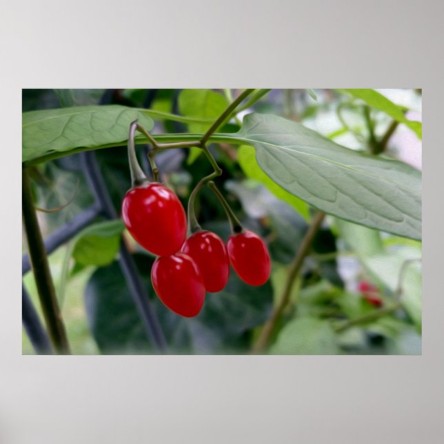 Autumn red spots poster (Front)
