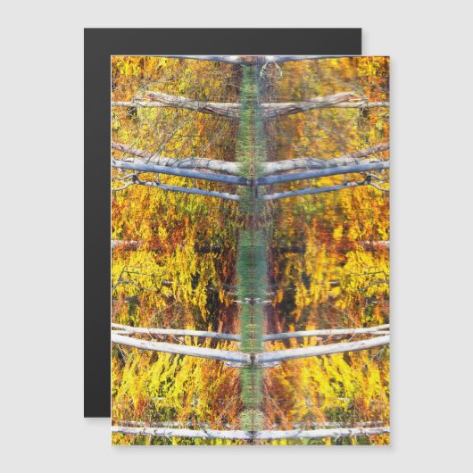 Autumn Reflection (Front/Back)