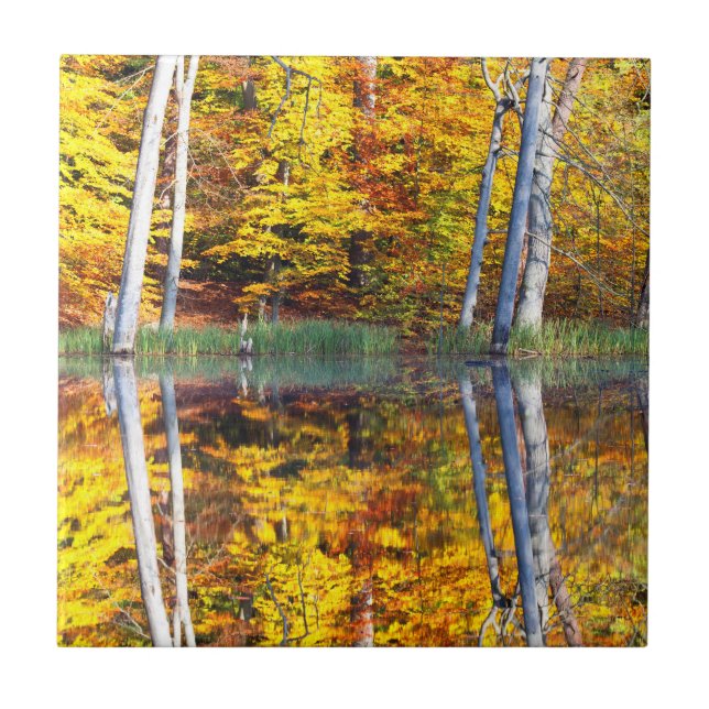 Autumn Reflection Ceramic Tile (Front)