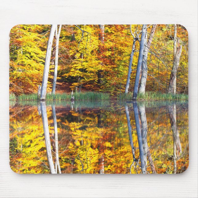 Autumn Reflection Mouse Pad (Front)