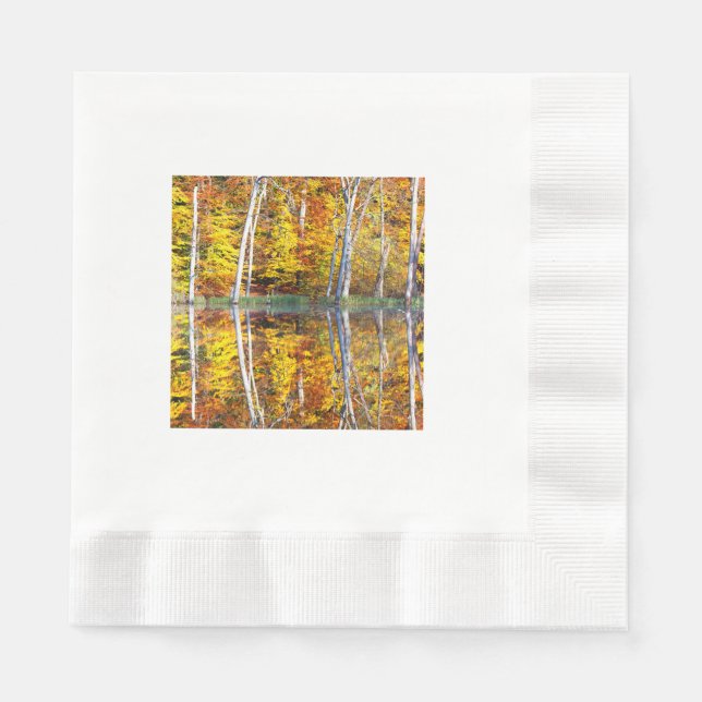 Autumn Reflection Napkins (Front)