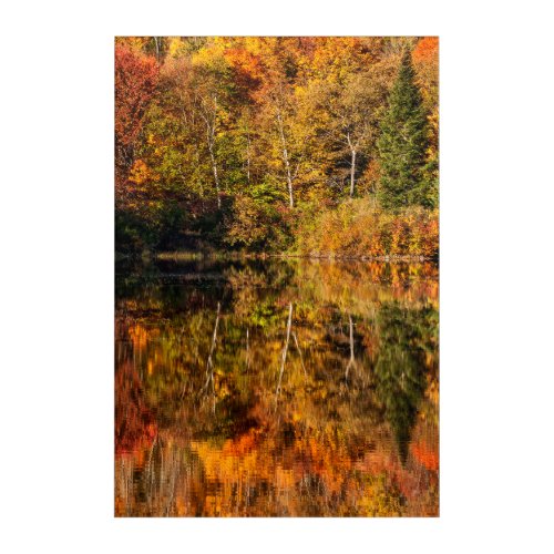 Autumn reflection on Coffin Pond Acrylic Print