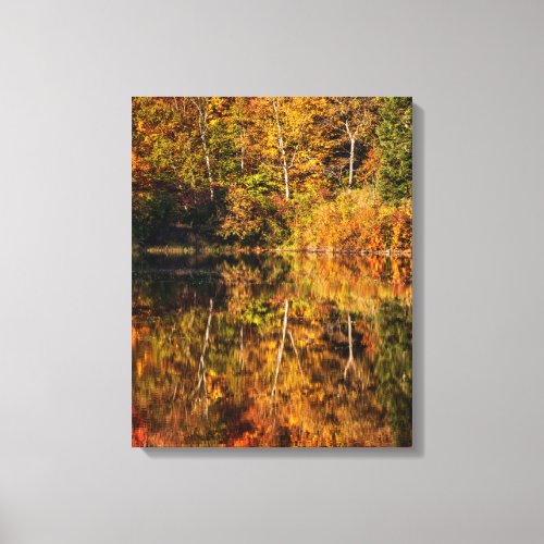 Autumn reflection on Coffin Pond Canvas Print