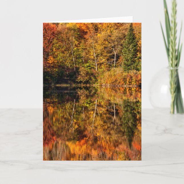 Autumn reflection on Coffin Pond Card (Front)