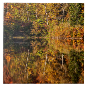 Autumn reflection on Coffin Pond Ceramic Tile