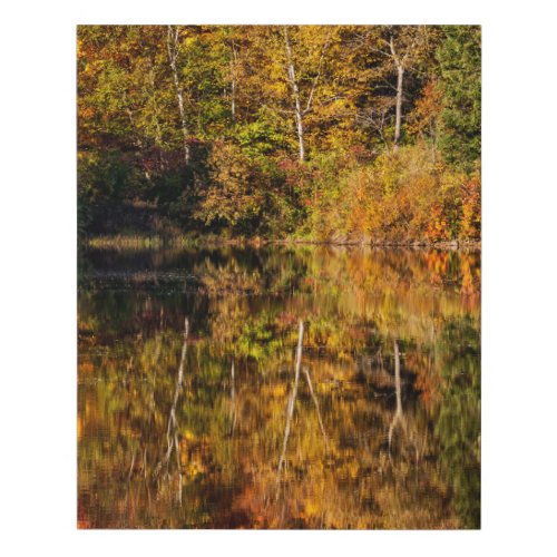 Autumn reflection on Coffin Pond Faux Canvas Print