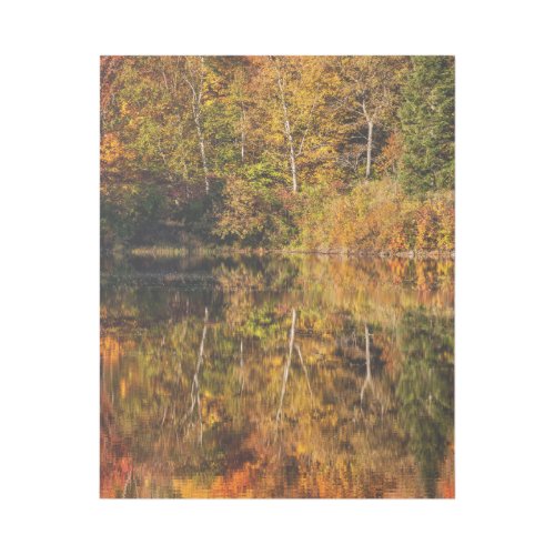 Autumn reflection on Coffin Pond Gallery Wrap
