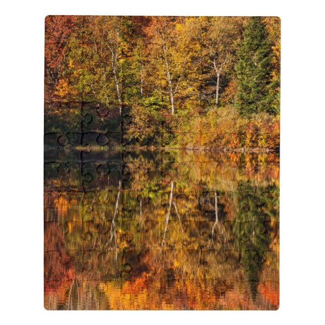 Autumn reflection on Coffin Pond Jigsaw Puzzle (Puzzle Vertical)