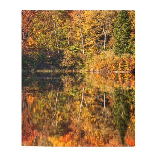 Autumn reflection on Coffin Pond Metal Print