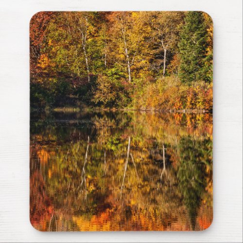 Autumn reflection on Coffin Pond Mouse Pad
