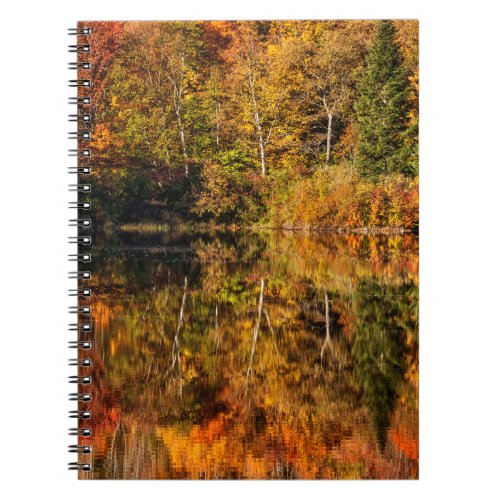 Autumn reflection on Coffin Pond Notebook