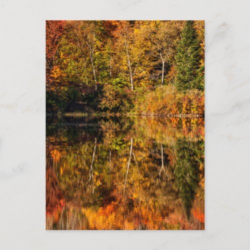 Autumn reflection on Coffin Pond Postcard