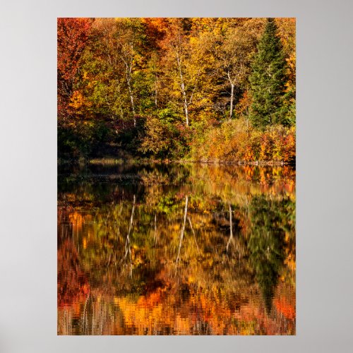 Autumn reflection on Coffin Pond Poster