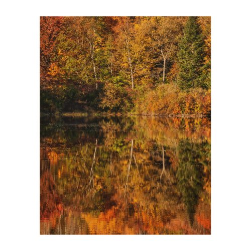 Autumn reflection on Coffin Pond Wood Wall Art