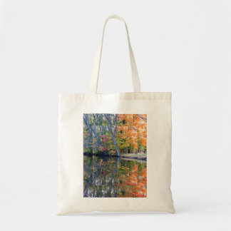 Autumn Reflection Tote Bag