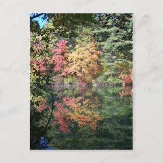 Autumn Reflections Landscape I Postcard