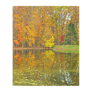 "AUTUMN REFLECTIONS" METAL WALL ART