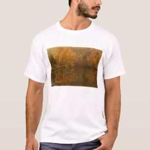 Autumn reflections on pond. T-Shirt