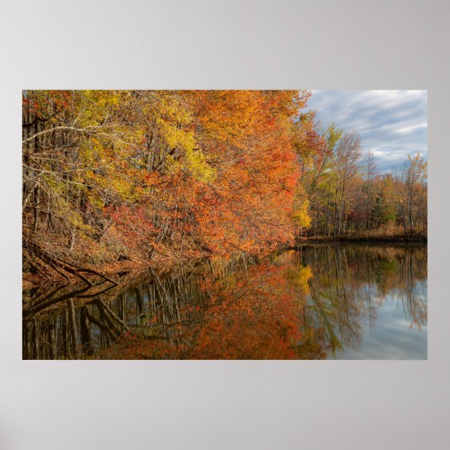 Autumn Reflections  Poster (Front)
