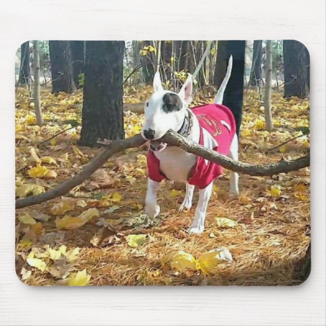 Autumn Rex mousepad (Front)