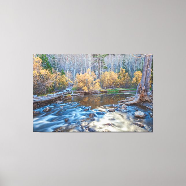 Autumn River Landscape Canvas Print (Front)