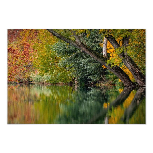 Autumn River Photo Print (Front)