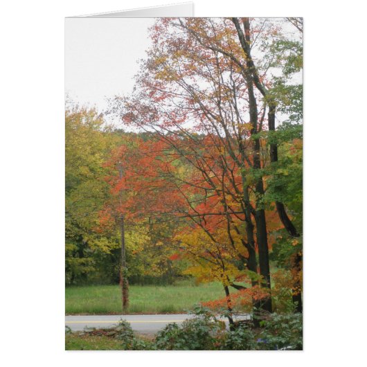 Autumn Road 2 Cards (Front)