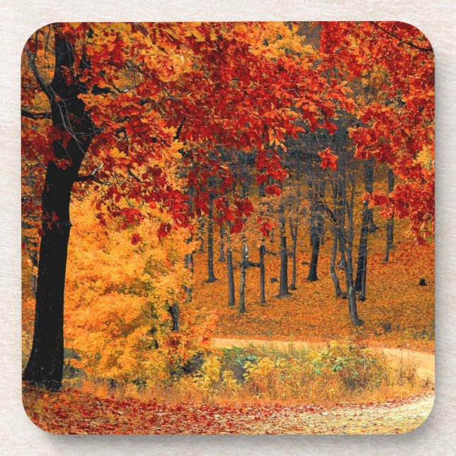 Autumn Road Beverage Coaster (Front)