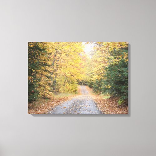 Autumn Road Canvas Print