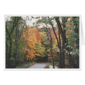 Autumn Road Cards