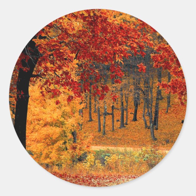 Autumn Road Classic Round Sticker (Front)