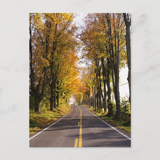 Autumn Road Postcard (Front)