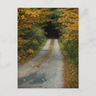 Autumn Road postcard