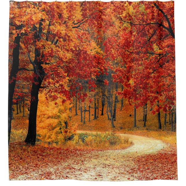 Autumn Road Shower Curtain (Front)