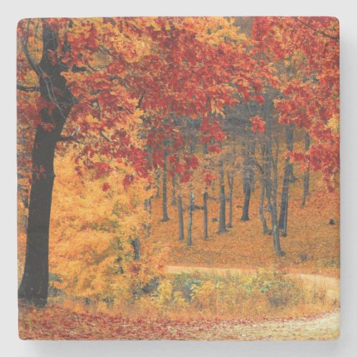 Autumn Road Stone Coaster