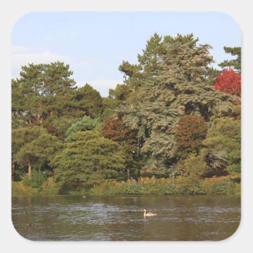 Autumn Roath Park Lake Cardiff Square Sticker