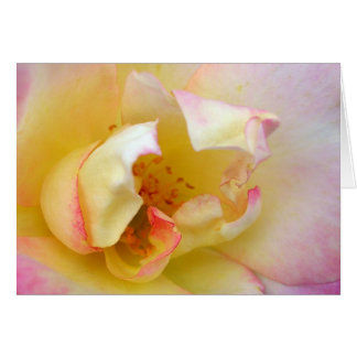 Autumn Rose Cards