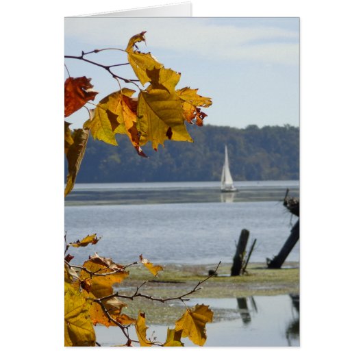 Autumn sailing, autumn photo, blank card (Front)