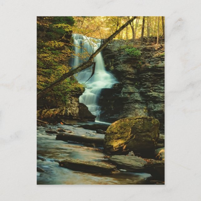 Autumn Scene of Fulmer Falls Postcard (Front)