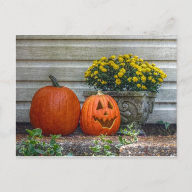 Autumn Scene Postcard (Front)