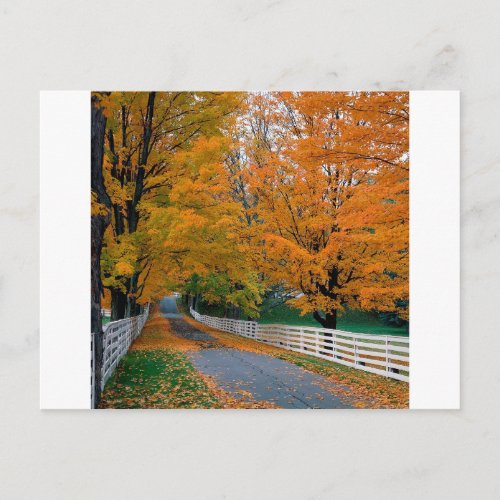 Autumn Scenic Backroad New Hampshire Postcard