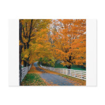 Autumn Scenic Backroad New Hampshire