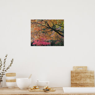 Autumn Season Leaf Colors Botancial Poster