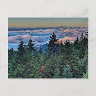 autumn season morning on blue ridge parkway postcard