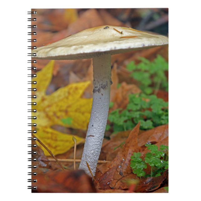 “Autumn Sentinel: The Wild Stands Alone” Notebook (Front)
