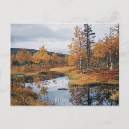 Autumn Serenade Finnish Ruska Reflections Postcard