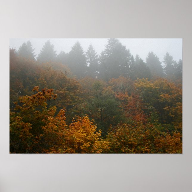 Autumn Serenade Poster Paper (Matte) (Front)