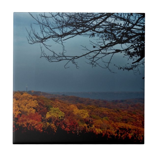 Autumn Shade Ceramic Tile (Front)