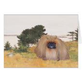 Autumn Shore (Front Horizontal)